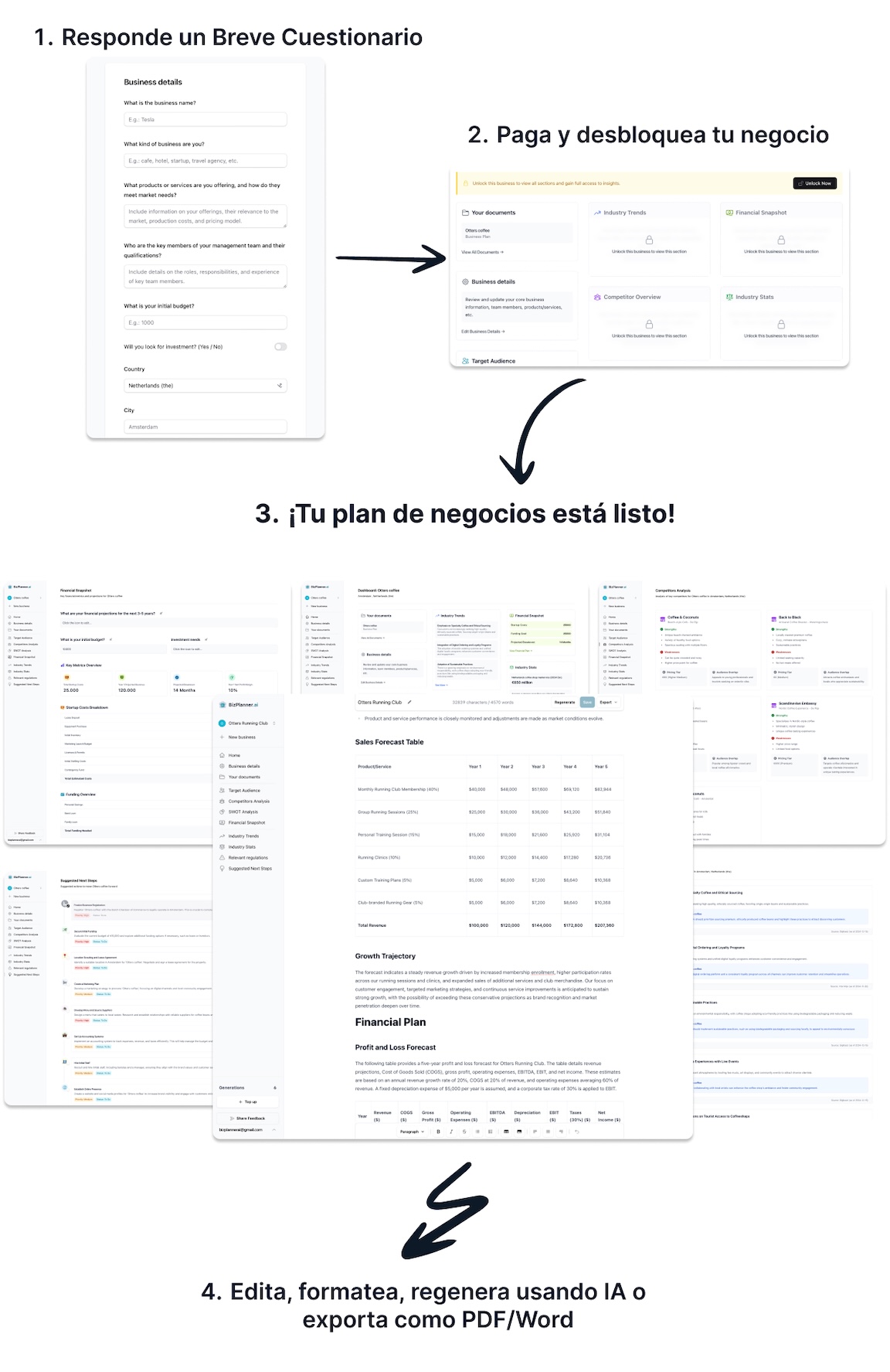 Generador de Planes de Negocio con IA BizPlanner AI